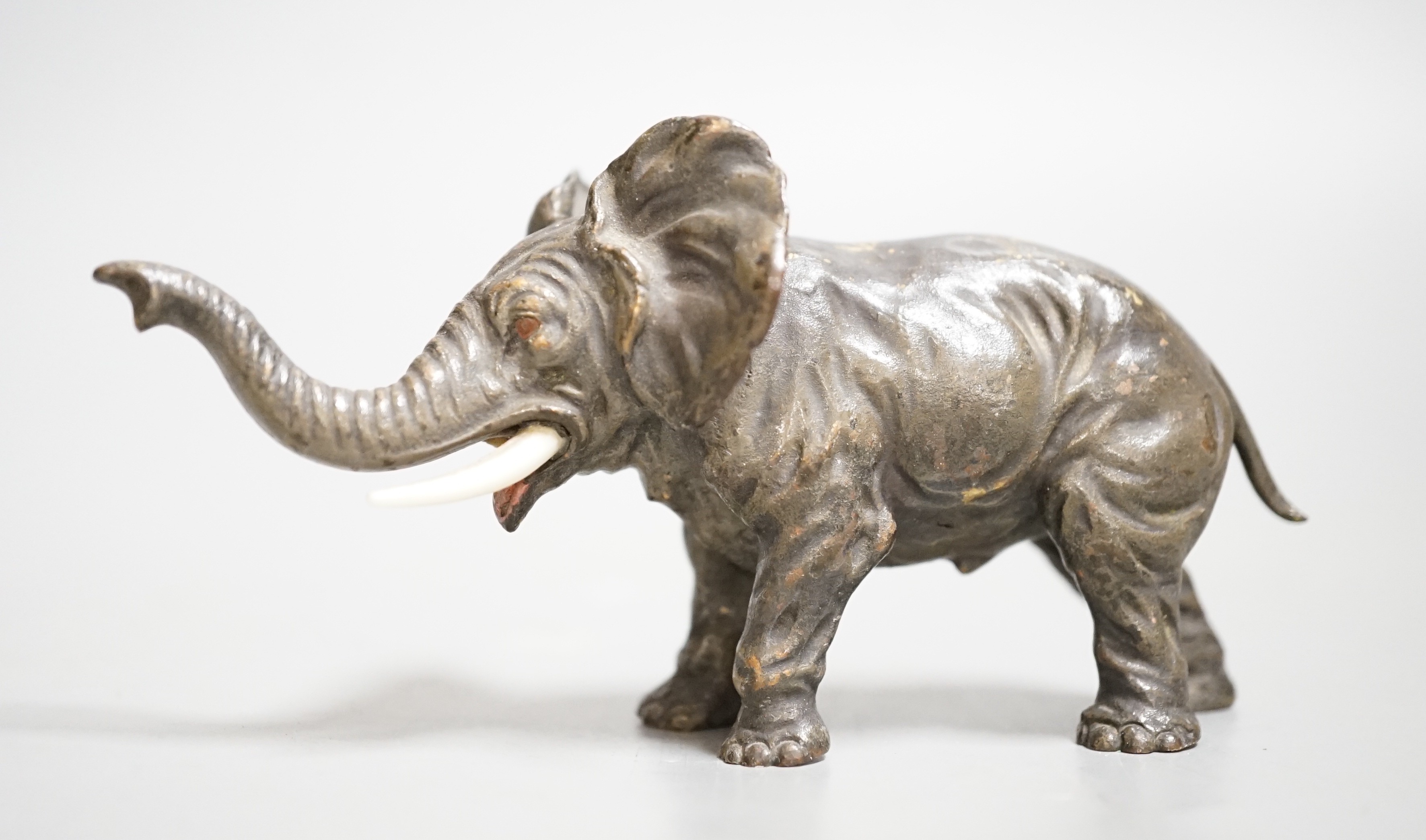 An Austrian cold painted model of an elephant. 11cm long.